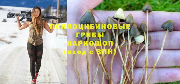 винт Алексин