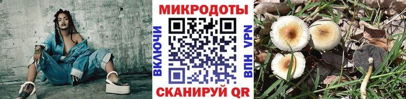 Псилоцибиновые грибы ЛСД  Тобольск 
