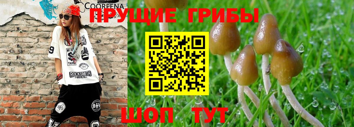 Тобольск  Галлюциногенные грибы Magic Shrooms  Вход с VPN  Галлюциногенные грибы Psilocybine cubensis 